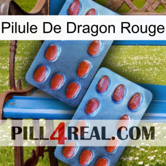 Red Dragon Pill 05